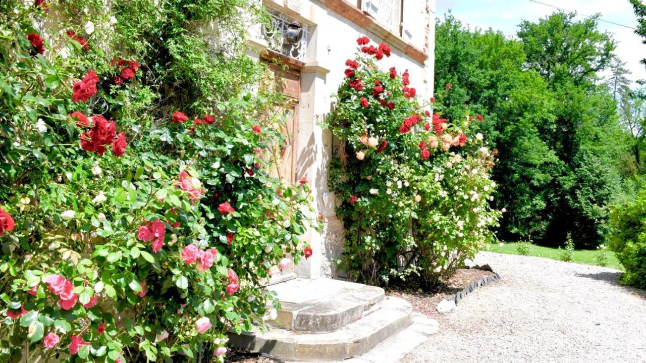 Chateau De Belespy La Bastide-de-Besplas Ngoại thất bức ảnh